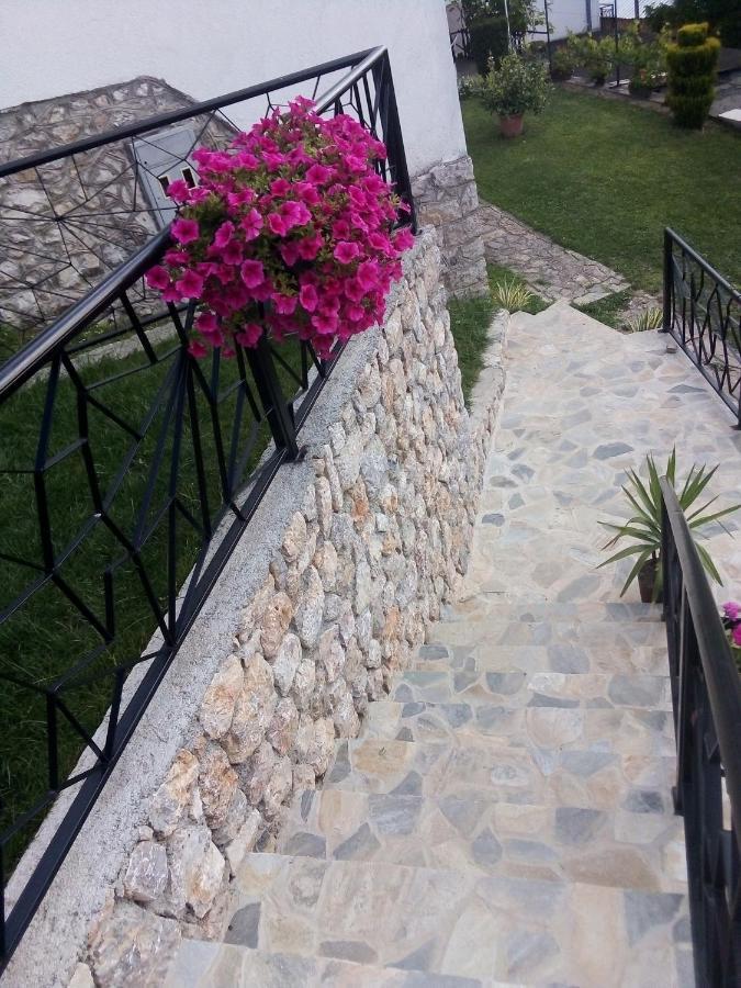Guest House Stevovski Elshani المظهر الخارجي الصورة