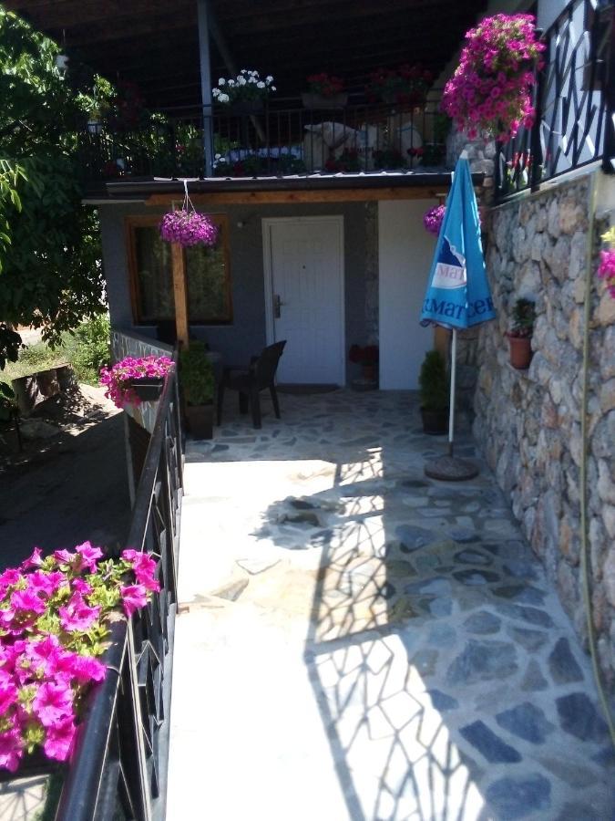 Guest House Stevovski Elshani المظهر الخارجي الصورة