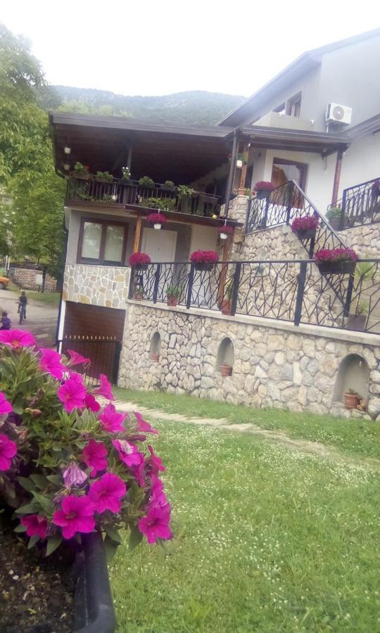 Guest House Stevovski Elshani المظهر الخارجي الصورة