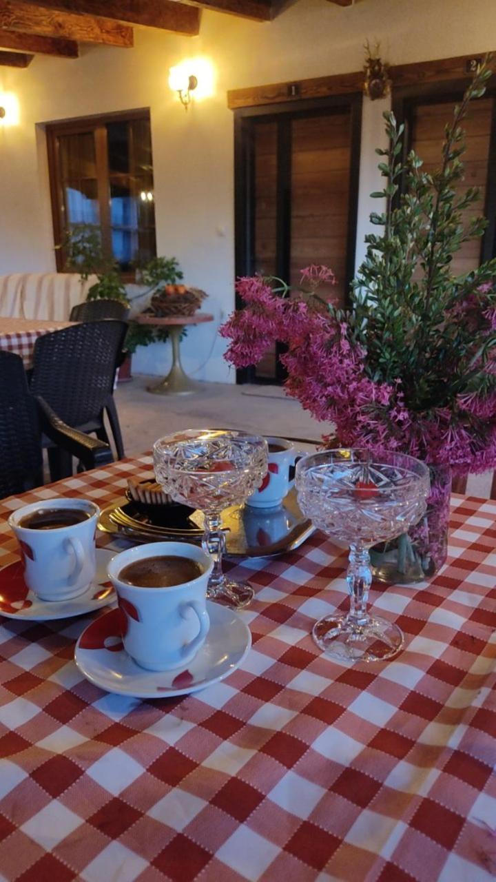 Guest House Stevovski Elshani المظهر الخارجي الصورة