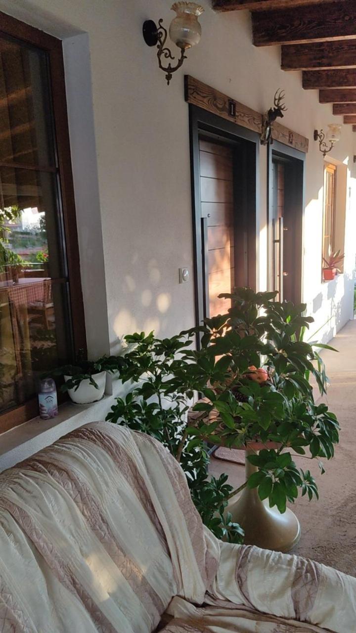Guest House Stevovski Elshani المظهر الخارجي الصورة